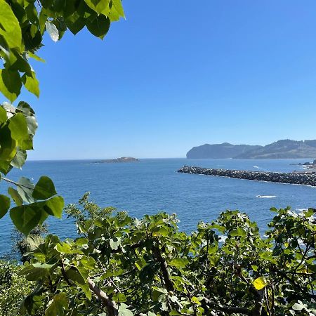Bertoko Urdaibai II Apartman Bermeo Kültér fotó